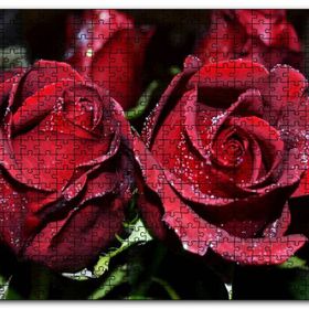 Cakapuzzle Kırmızı Güller ve Çiy Damlaları Mdf 120 Parça Puzzle