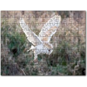 Cakapuzzle Kırmızı Jaguar Xk 120 Mdf 1000 Parça Puzzle