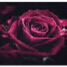 Cakapuzzle Kırmızı Kadife Gül Yakın Çekim Karanlık Mdf 120 Parça Puzzle