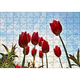 Cakapuzzle Kırmızı Lale Bahçesi Görseli 120 Parça Ahşap Puzzle
