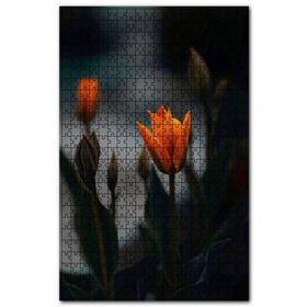 Cakapuzzle Kırmızı Lale ve Arkaplanda Flu Laleler Ahşap 255 Parça Puzzle