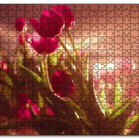 Cakapuzzle Kırmızı Laleler ve Güneş Işıkları Mdf 255 Parça Puzzle