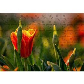 Cakapuzzle Kırmızı Laleler ve Yeşil Yapraklar Güneş Işığı 120 Parça Puzzle