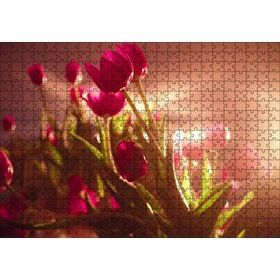 Cakapuzzle Kırmızı Laleler ve Yeşil Yapraklar Güneş Işığı 120 Parça Puzzle