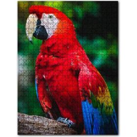Cakapuzzle Kırmızı Mavi Macaw Papağan Ahşap 255 Parça Puzzle