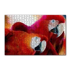 Cakapuzzle Kırmızı Papağanlar 120 Parça Ahşap Puzzle