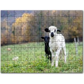 Cakapuzzle Kırmızı Tasmalı Doberman Flu Arkaplan Mdf 255 Parça Puzzle