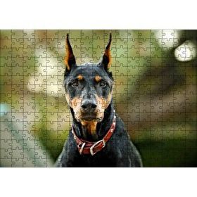 Cakapuzzle Kırmızı Tasmalı Doberman Flu Arkaplan Mdf 255 Parça Puzzle
