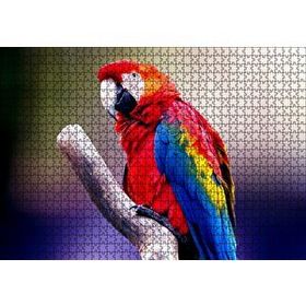 Cakapuzzle Kırmızı Tüylü Papağan 1000 Parça Puzzle