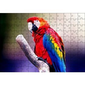 Cakapuzzle Kırmızı Tüylü Papağan 120 Parça Puzzle