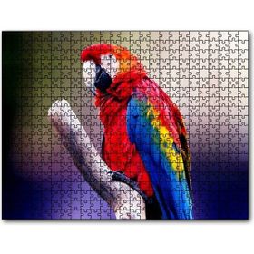 Cakapuzzle Kırmızı Tüylü Papağan 500 Parça Puzzle