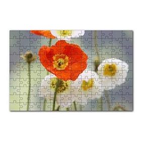 Cakapuzzle Kırmızı ve Beyaz Gelincikler Yakın Çekim 120 Parça Ahşap Puzzle