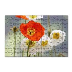 Cakapuzzle Kırmızı ve Beyaz Gelincikler Yakın Çekim 120 Parça Ahşap Puzzle