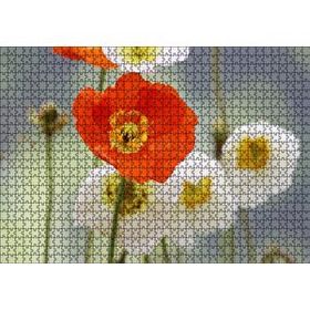 Cakapuzzle Kırmızı ve Beyaz Gelincikler Yakın Çekim 120 Parça Ahşap Puzzle
