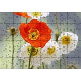 Cakapuzzle Kırmızı ve Beyaz Gelincikler Yakın Çekim 120 Parça Ahşap Puzzle
