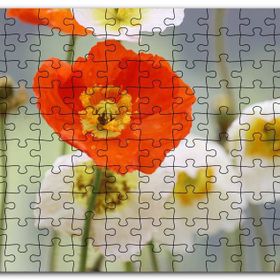 Cakapuzzle Kırmızı ve Beyaz Gelincikler Yakın Çekim Mdf 255 Parça Puzzle