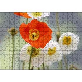 Cakapuzzle Kırmızı ve Beyaz Gelincikler Yakın Çekim Mdf 255 Parça Puzzle