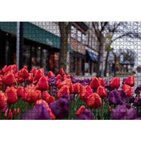 Cakapuzzle Kırmızı ve Mor Laleler 120 Parça Ahşap Puzzle