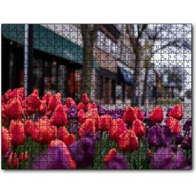 Cakapuzzle Kırmızı ve Mor Laleler 255 Parça Puzzle
