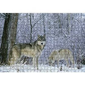Cakapuzzle Kış Ormandaki Kurtlar Görseli 120 Parça Ahşap Puzzle