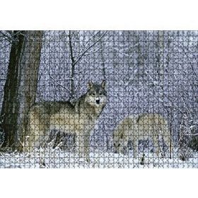Cakapuzzle Kış Ormandaki Kurtlar Görseli 120 Parça Ahşap Puzzle