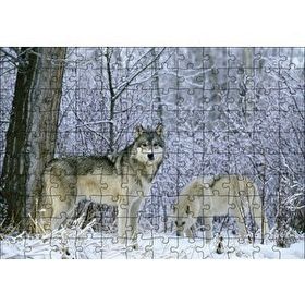 Cakapuzzle Kış Ormandaki Kurtlar Görseli Mdf 120 Parça Puzzle