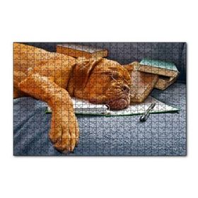 Cakapuzzle Kitap Defter Kalem ve Gözlüklü Kahverengi Buldog 120 Parça Ahşap Puzzle