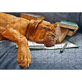 Cakapuzzle Kitap Defter Kalem ve Gözlüklü Kahverengi Buldog 120 Parça Ahşap Puzzle