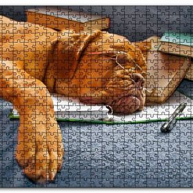Cakapuzzle Kitap Defter Kalem ve Gözlüklü Kahverengi Buldog Mdf 255 Parça Puzzle