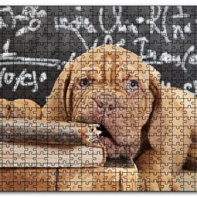 Cakapuzzle Kitapları Dişleyen Kahverengi Sharpy Yavrusu Mdf 120 Parça Puzzle