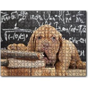 Cakapuzzle Kitapları Dişleyen Kahverengi Sharpy Yavrusu Mdf 255 Parça Puzzle