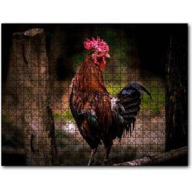 Cakapuzzle Kızıl Horoz 1000 Parça Puzzle