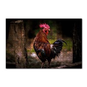 Cakapuzzle Kızıl Horoz 120 Parça Puzzle