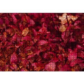 Cakapuzzle Kızıl Sonbahar Yaprakları 1000 Parça Puzzle
