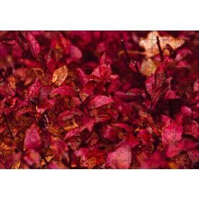 Cakapuzzle Kızıl Sonbahar Yaprakları 120 Parça Puzzle