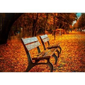 Cakapuzzle Kızıl Sonbahar Yaprakları ve Boş Banklar Mdf 500 Parça Puzzle