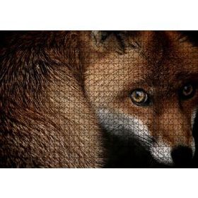 Cakapuzzle Kızıl Tilki 1000 Parça Puzzle