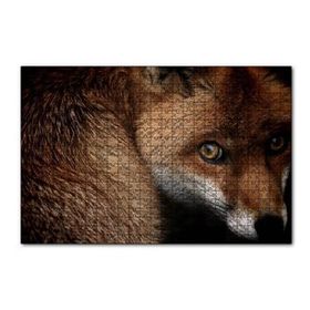 Cakapuzzle Kızıl Tilki 120 Parça Puzzle