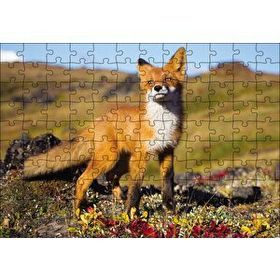 Cakapuzzle Kızıl Tilki 120 Parça Puzzle