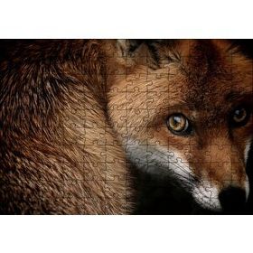 Cakapuzzle Kızıl Tilki 120 Parça Puzzle