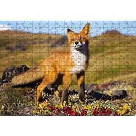 Cakapuzzle Kızıl Tilki 255 Parça Puzzle