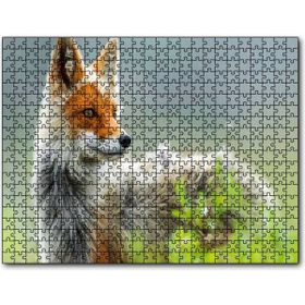 Cakapuzzle Kızıl Tilki Görseli 1000 Parça Puzzle