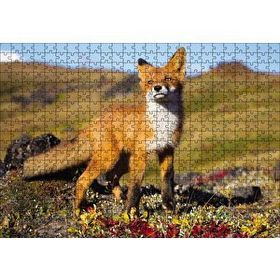 Cakapuzzle Kızıl Tilki Görseli 120 Parça Puzzle
