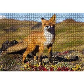 Cakapuzzle Kızıl Tilki Görseli 120 Parça Puzzle