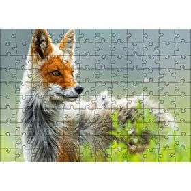 Cakapuzzle Kızıl Tilki Görseli 120 Parça Puzzle