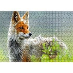 Cakapuzzle Kızıl Tilki Görseli 500 Parça Puzzle