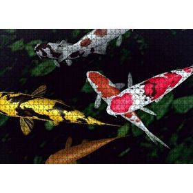 Cakapuzzle Koi Balıkları Yukarıdan Görünüm 120 Parça Ahşap Puzzle