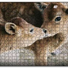 Cakapuzzle Koklaşan Kahverengi Buzağılar Görseli Mdf 120 Parça Puzzle