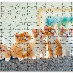 Cakapuzzle Koltukta Yanyana Sarı Beyaz Renkli 5 Kedi Mdf 255 Parça Puzzle