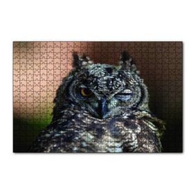 Cakapuzzle Komik Baykuş 120 Parça Puzzle